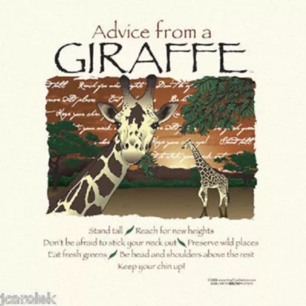 ADVICE FROM NATURE YOUTH 100% Cotton T-SHIRTS